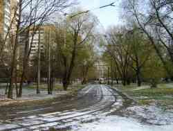 342 КБ