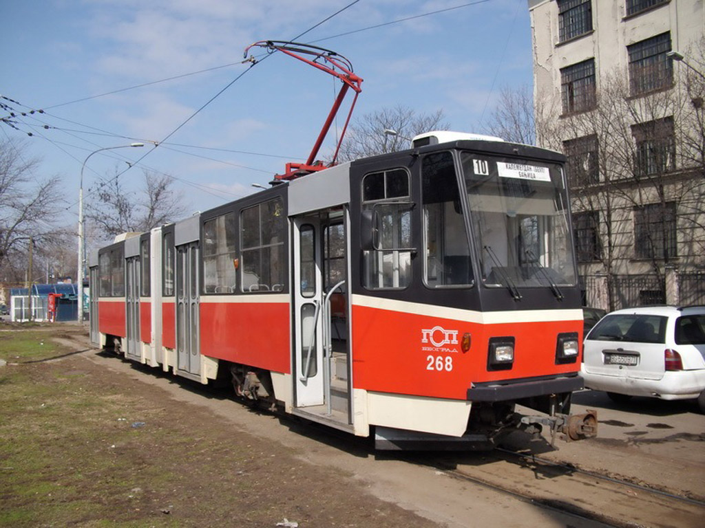297565.jpg