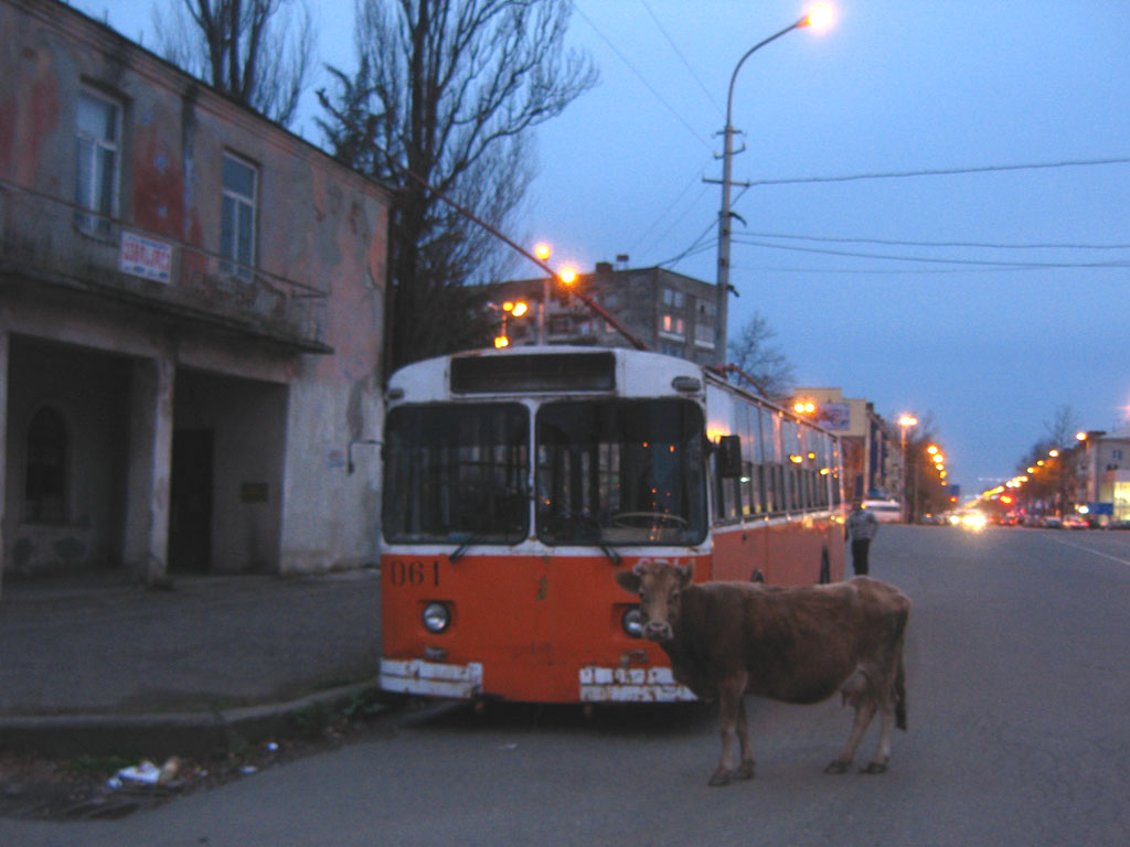 315619.jpg