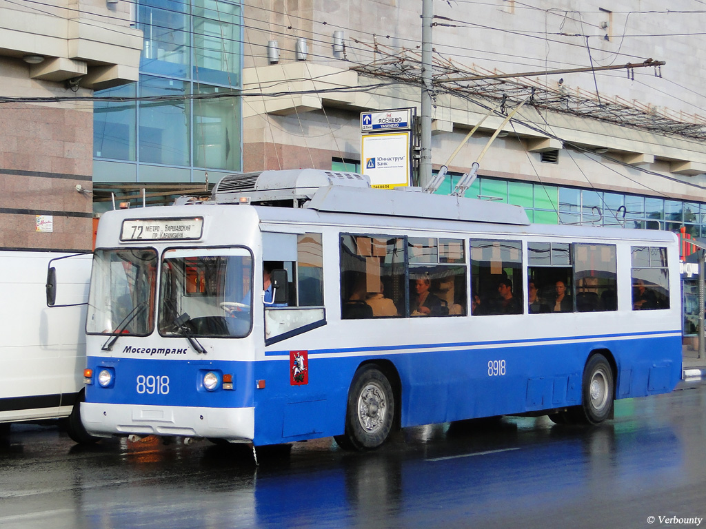 428743.jpg