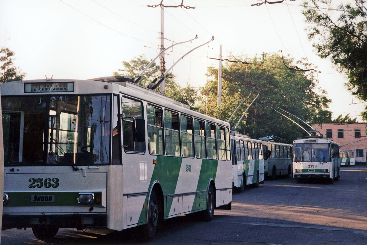 653136.jpg