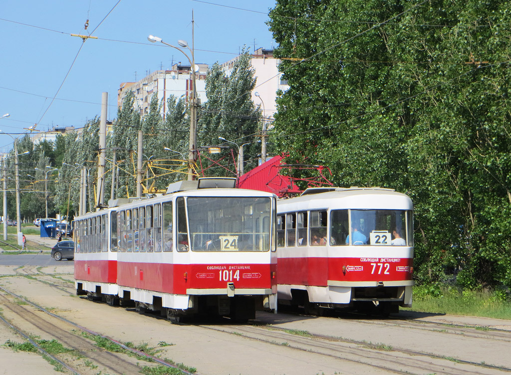 818259.jpg