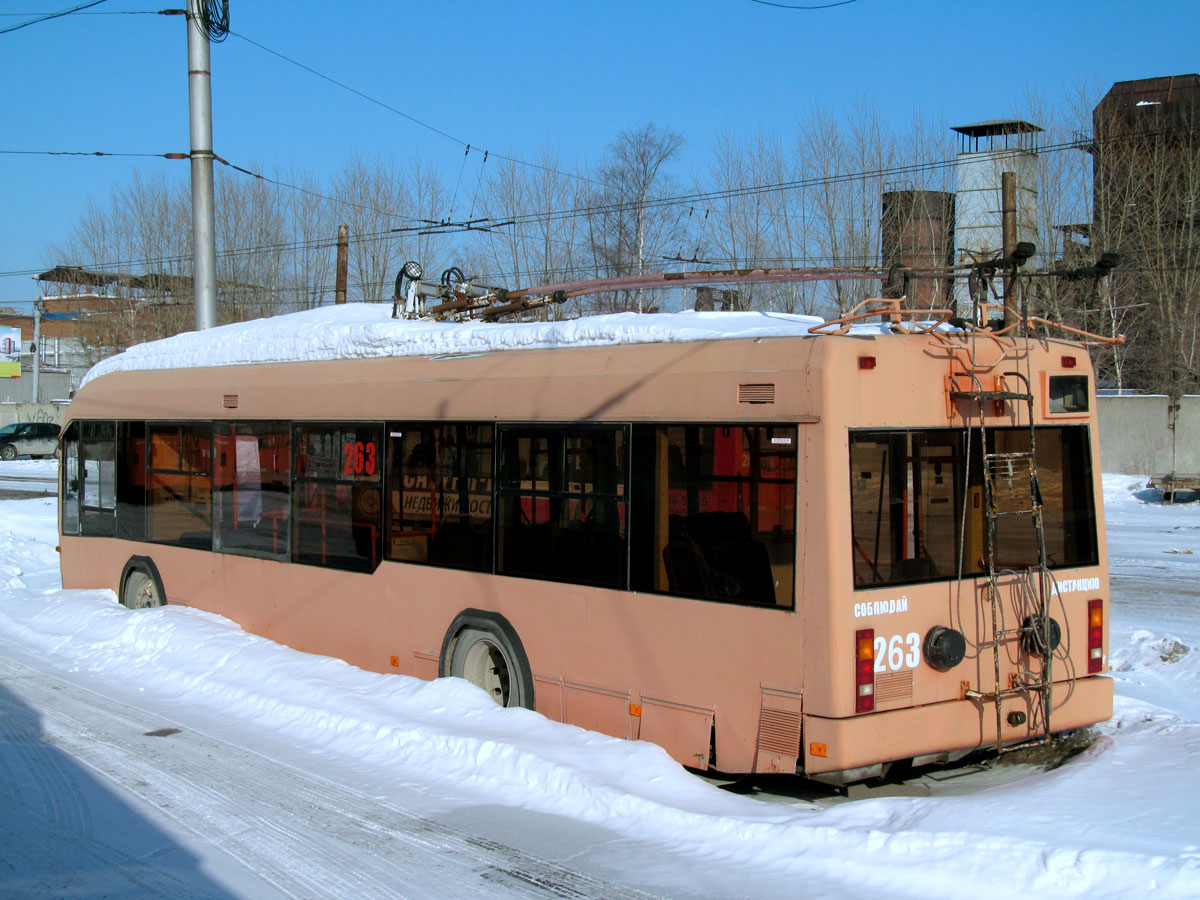 Пермь, БКМ 32102 № 263