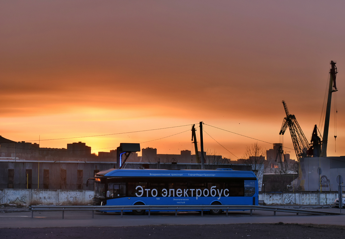 Владивосток, ЛиАЗ-6274 № 109; Владивосток — Разные фотографии