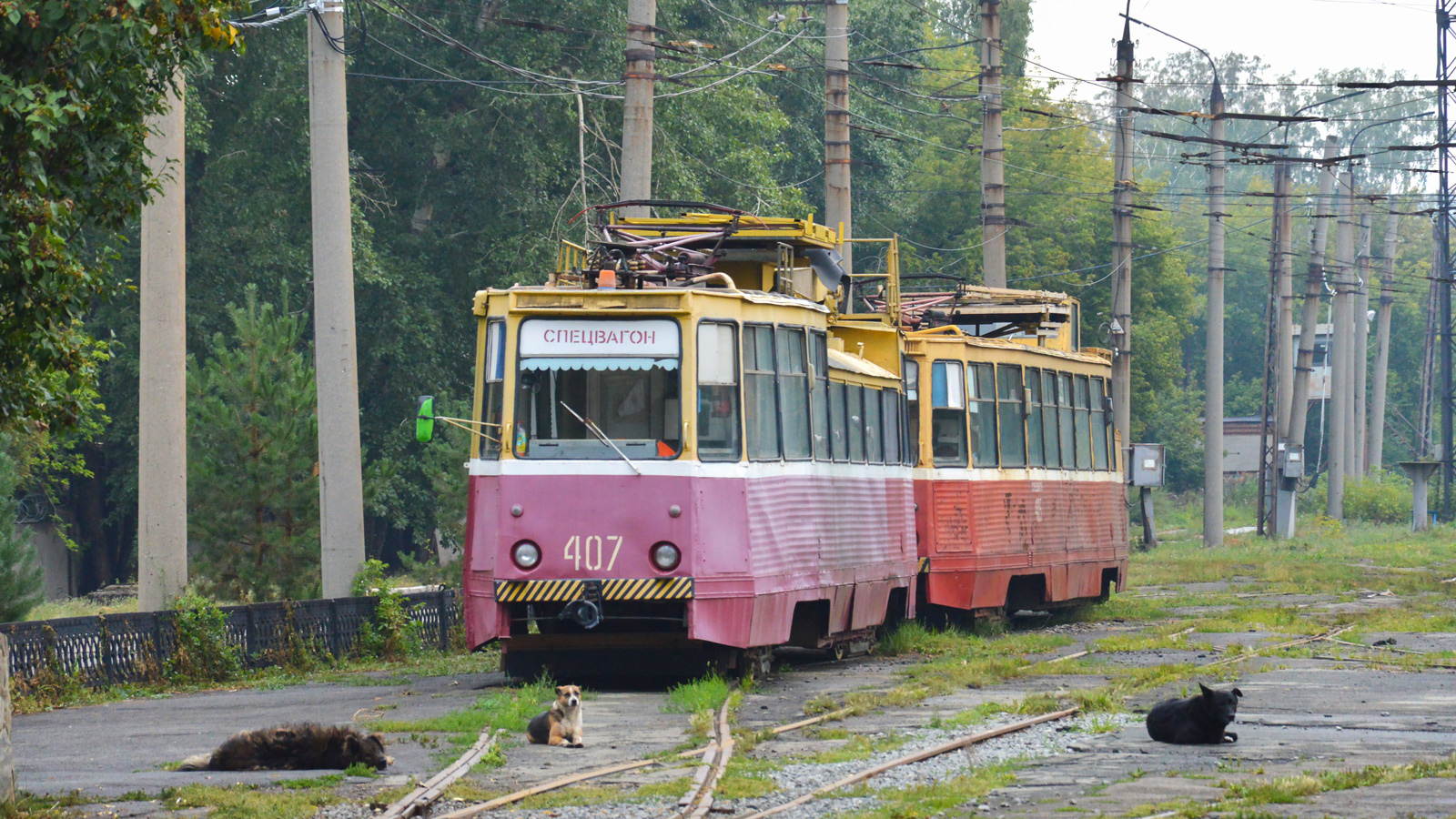 Челябинск, ТС-34Д № 407; Транспорт и животные