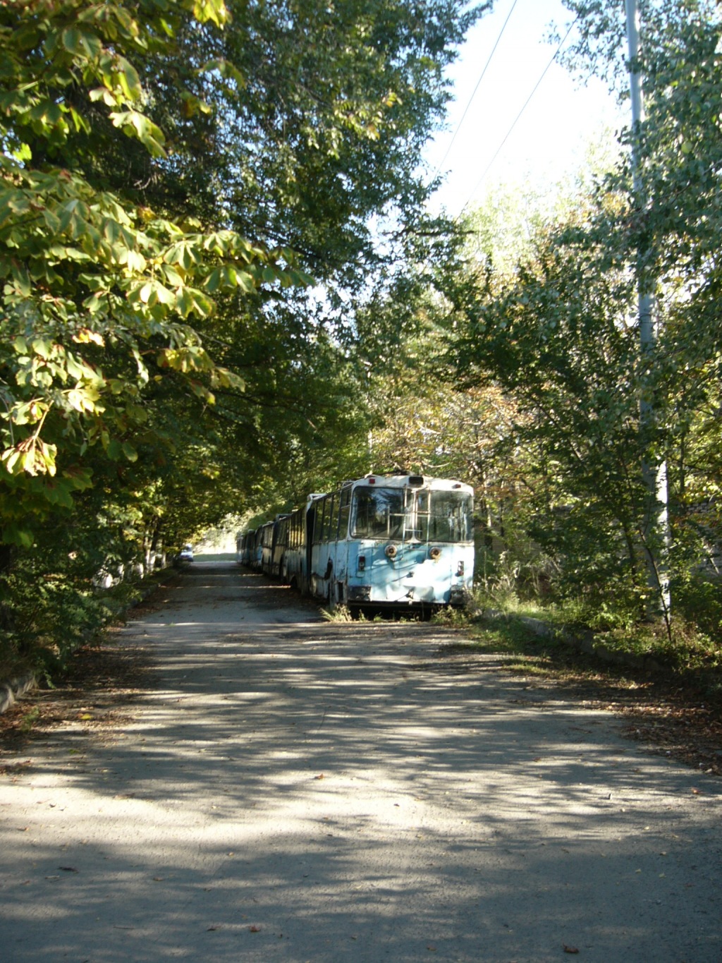 Ростов-на-Дону, ЗиУ-683В01 № 1175