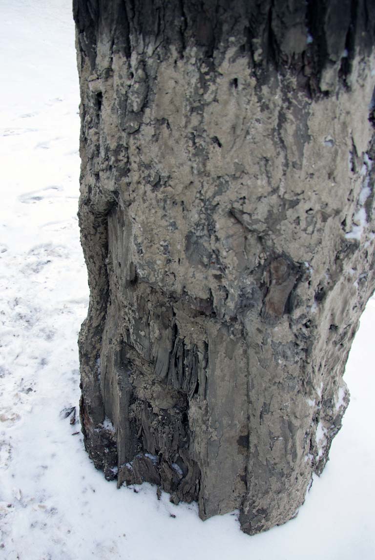 Москва — Разные фотографии Москва — Разные фотографии