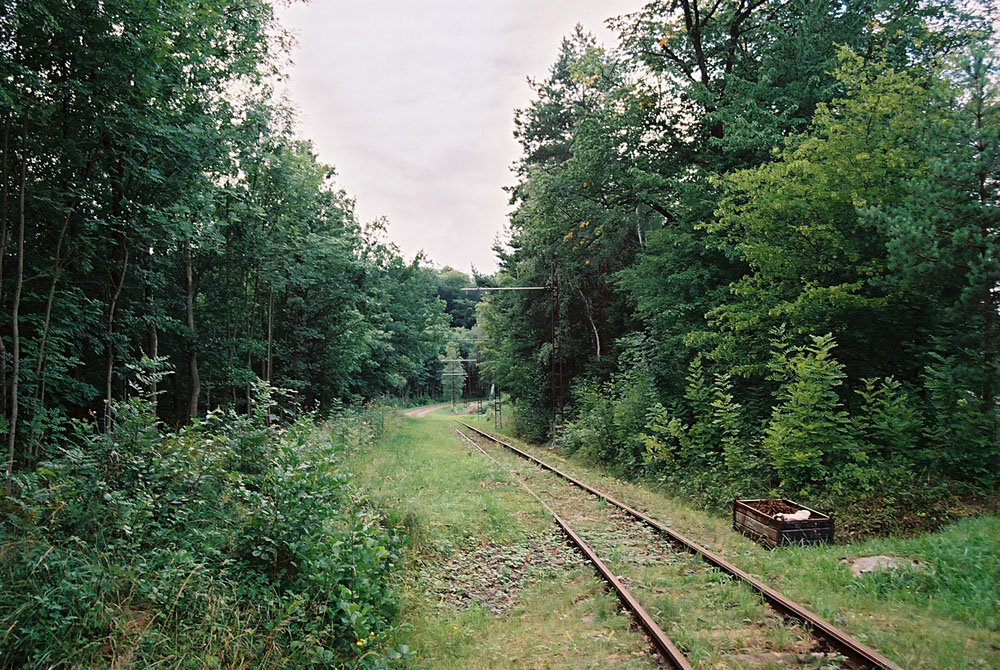 Гота — Разные фотографии