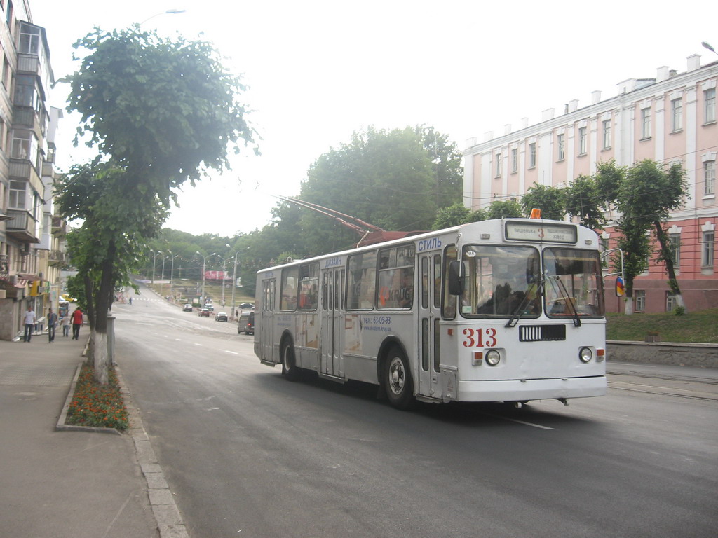 Винница, ЗиУ-682Г [Г00] № 313