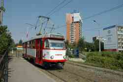 251 КБ