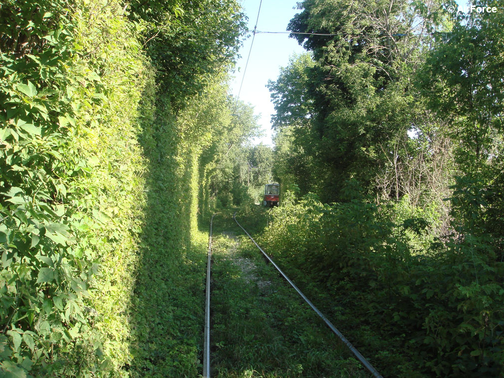 Саратов — Конечные станции и разворотные кольца Саратов — Конечные станции и разворотные кольца