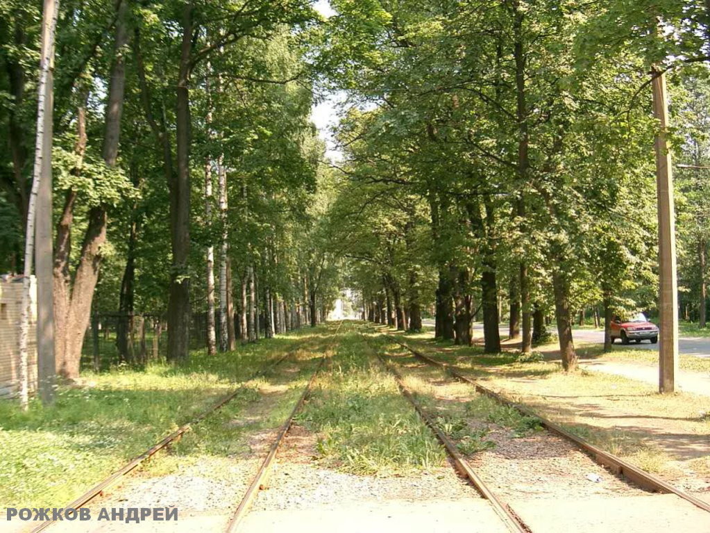 Sanktpēterburga — Tram lines and infrastructure