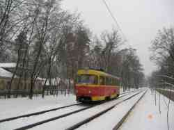 244 КБ
