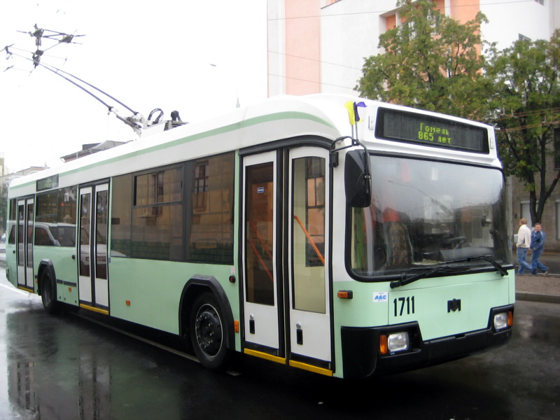 Homiel, BKM 32102 # 1711