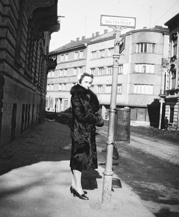 Lavov — Tram lines and infrastructure