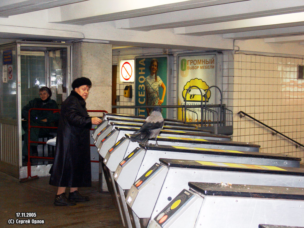 Moscow — Metropolitain — Transfers and anterooms; Transport and animals