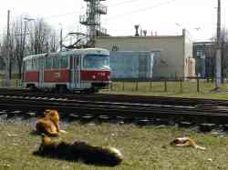 221 КБ