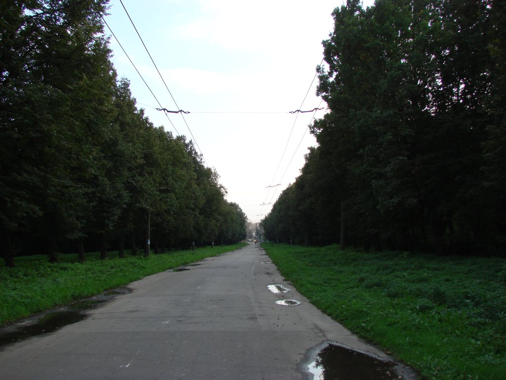 Рязань — Лесопарк