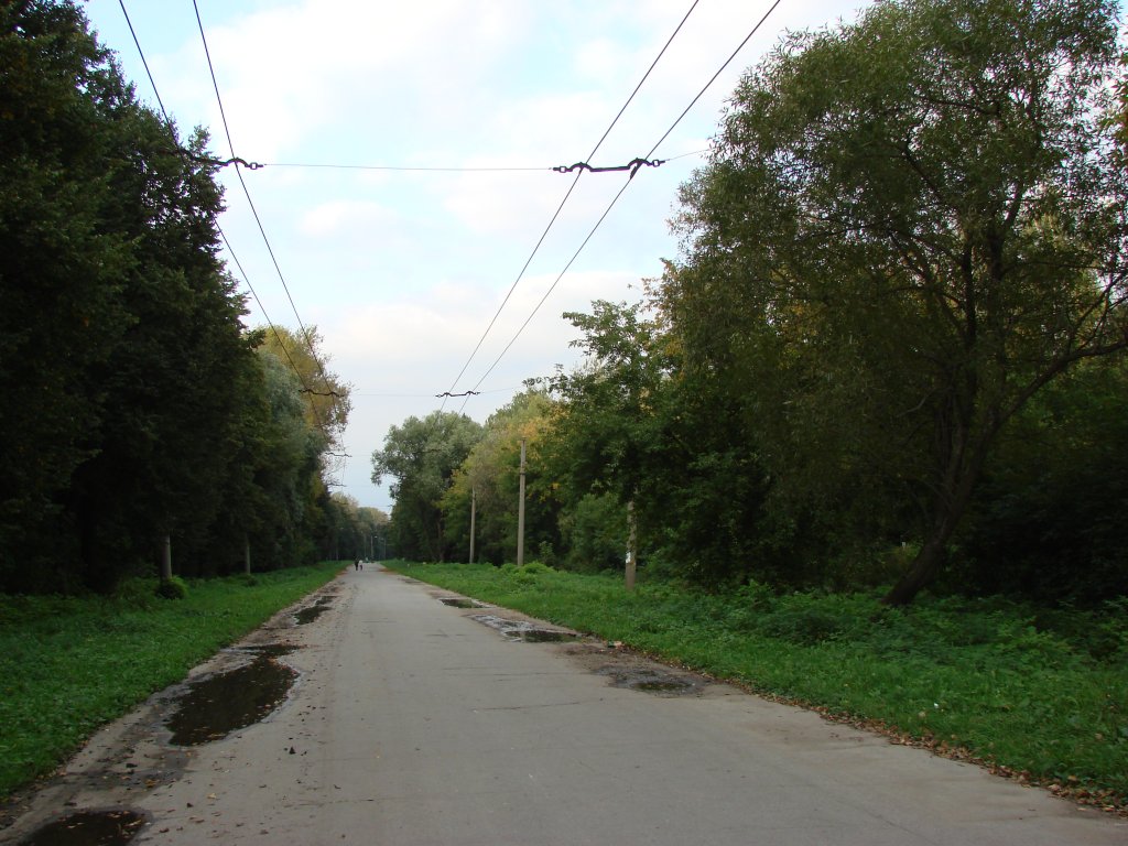 Рязань — Лесопарк