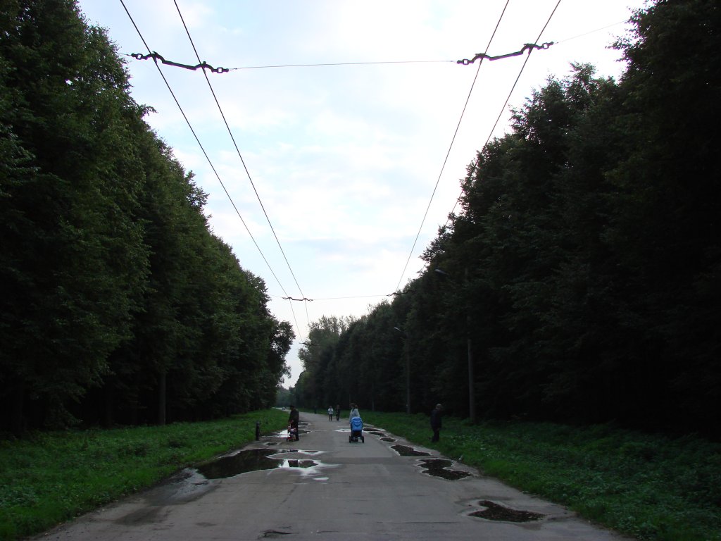 Рязань — Лесопарк