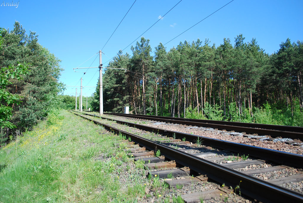 Старый Оскол — Трамвайная сеть и инфраструктура