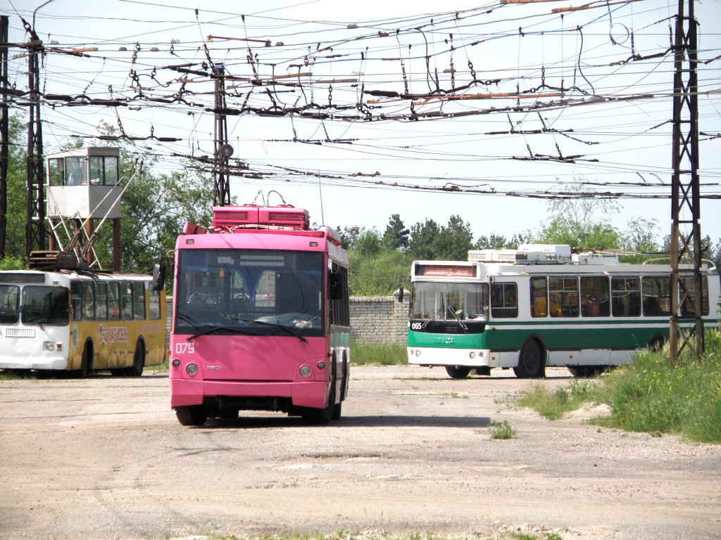 Дзержинск, Тролза-5264.05 «Слобода» № 079; Дзержинск, ЗиУ-682Г-016.02 № 065
