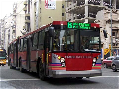 Кордова, ЗиУ-683Б [Б00] № 37