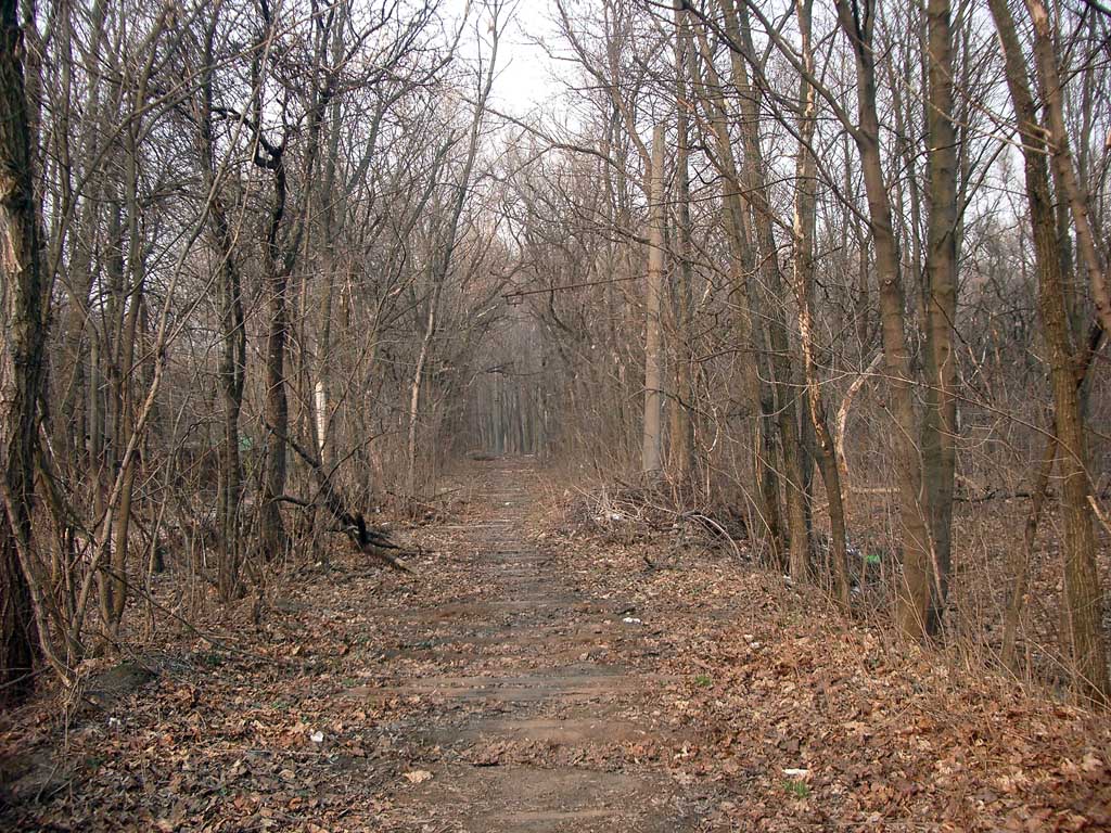 Woroneż — The remnants of Voronezh tramway