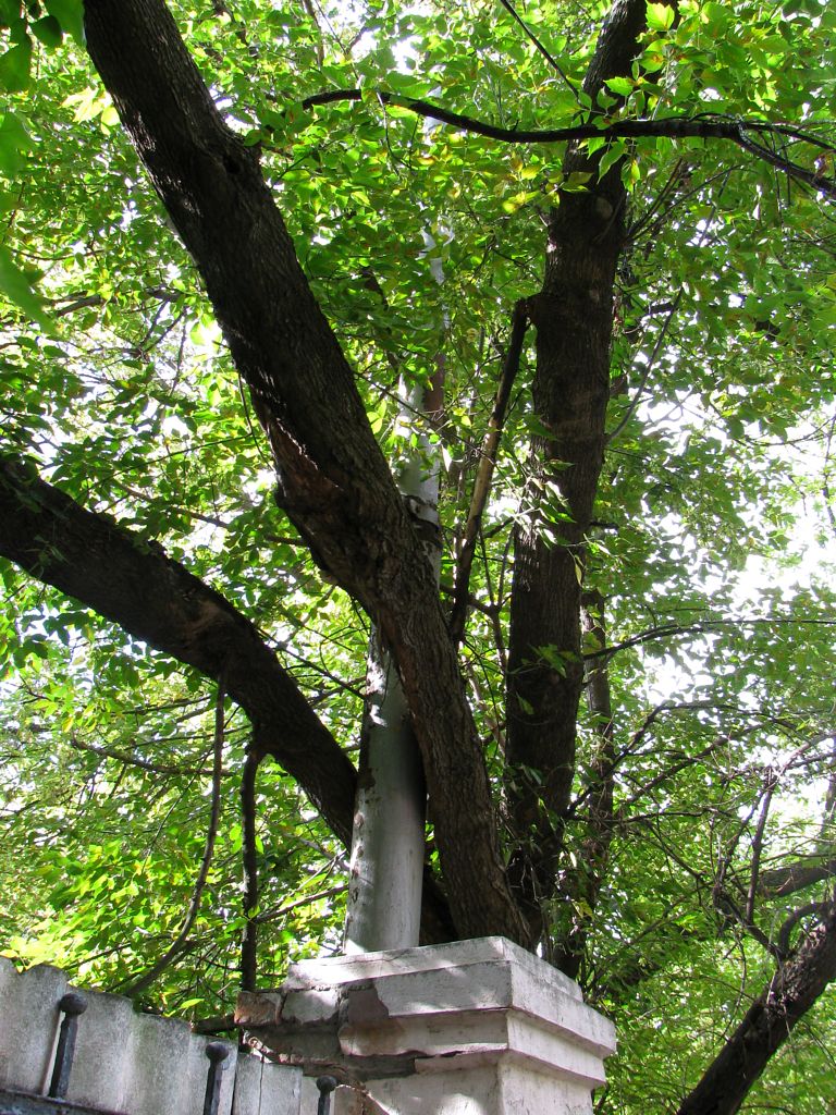 Рязань — Закрытые линии