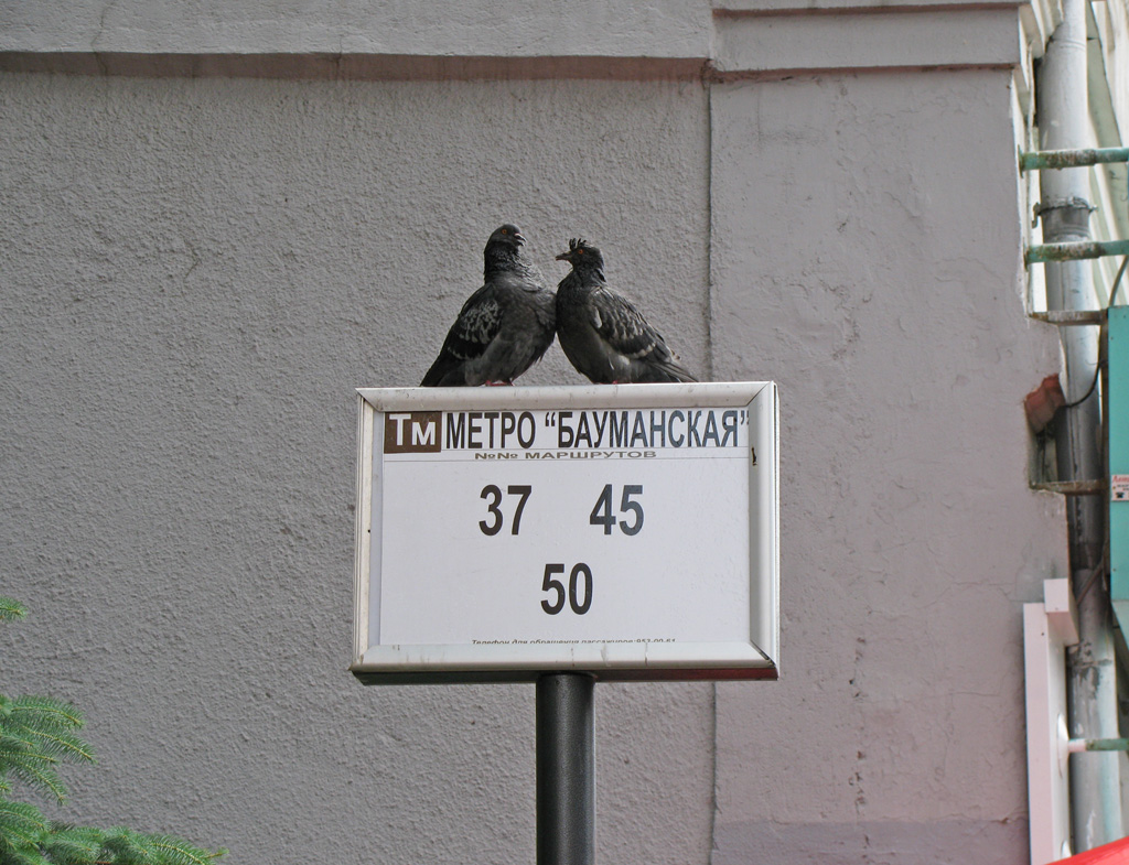 Moscow — Miscellaneous photos; Moscow — Station signs & displays