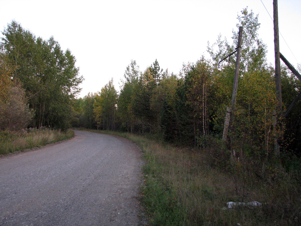 Волчанск — Трамвайные линии и инфраструктура