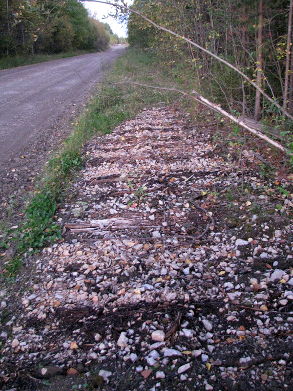 Волчанск — Трамвайные линии и инфраструктура