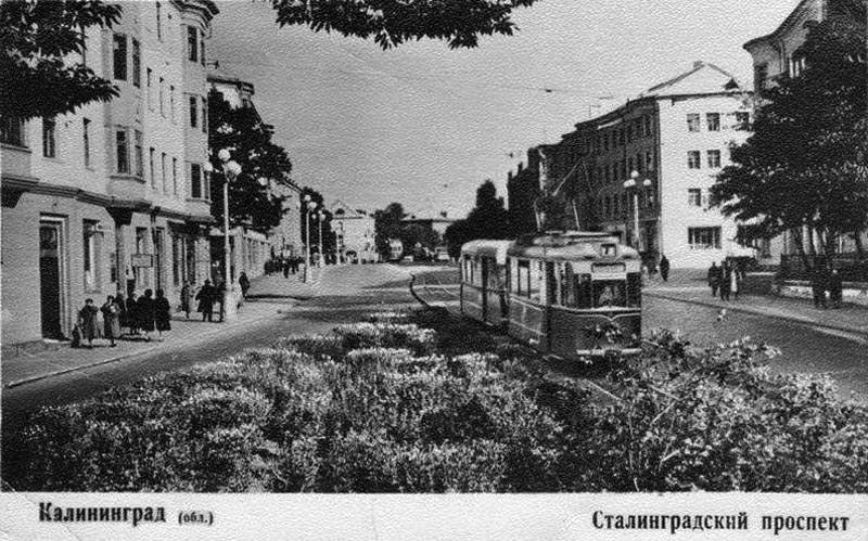 Калининград — Старые фото — Калининградский трамвай