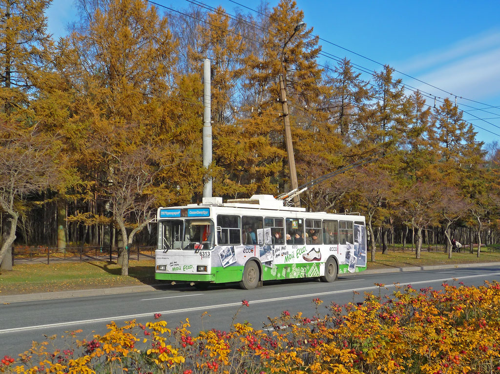 Санкт-Петербург, ВМЗ-5298-20 № 6313
