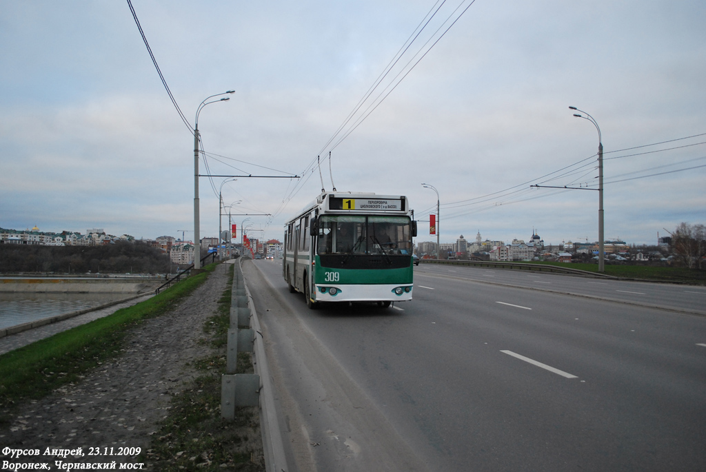 Воронеж, ЗиУ-682Г-016.02 № 309