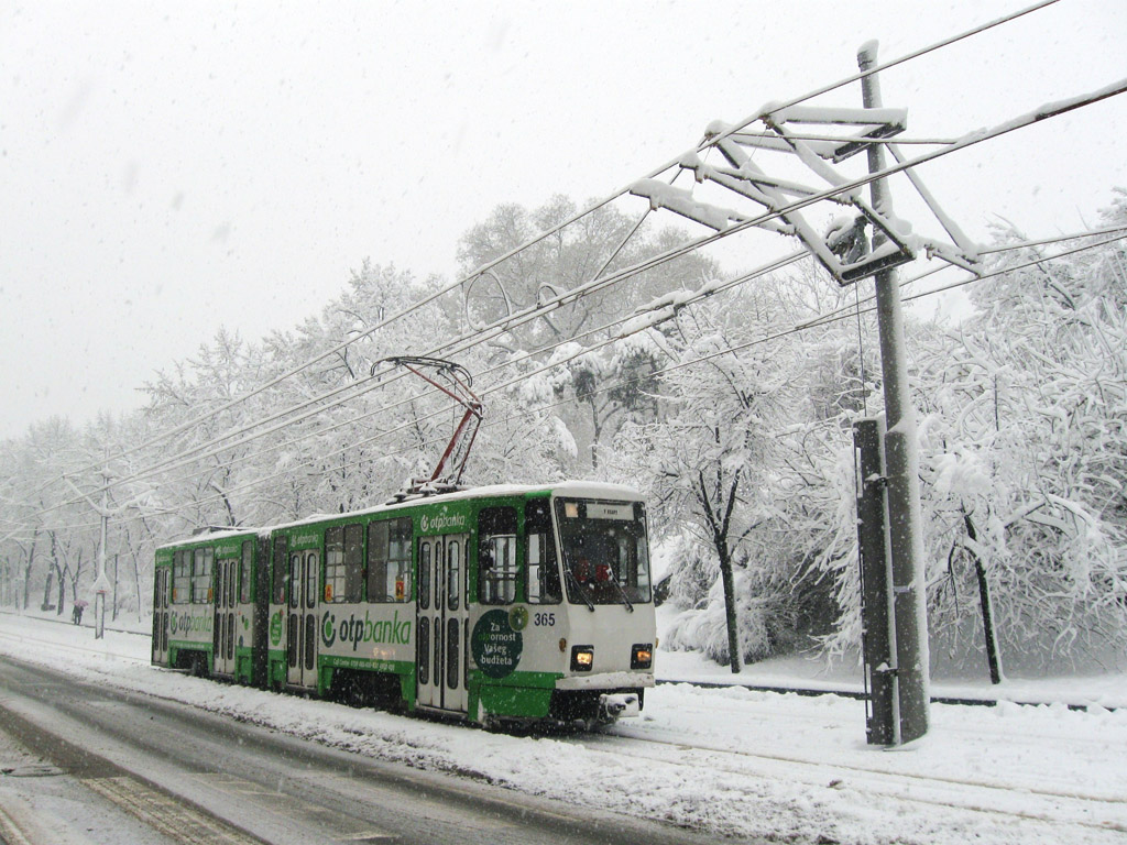 Белград, Tatra KT4YU № 365