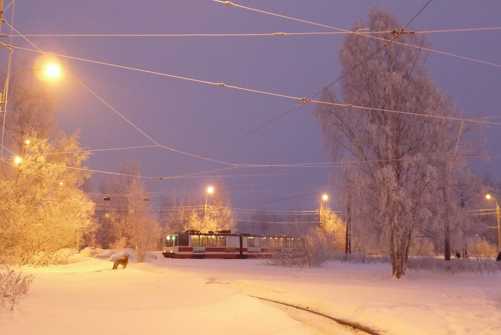 Petrohrad — Terminal stations