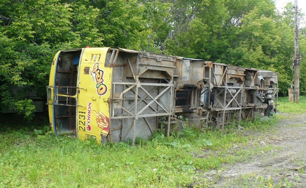 Новосибирск, ЗиУ-682В [В00] № 2231