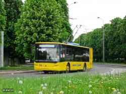 306 КБ