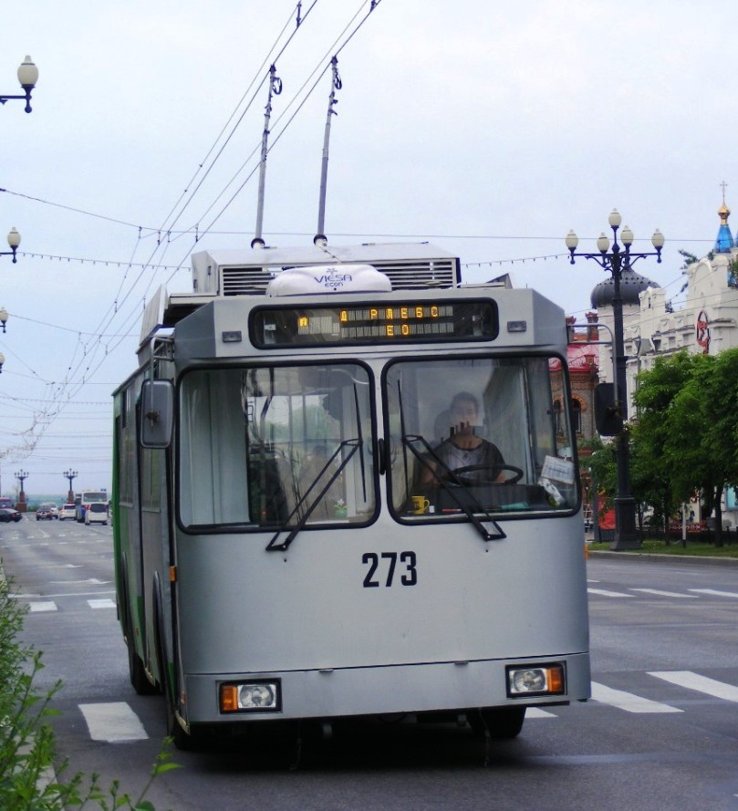 Хабаровск, СТ-6217 № 273