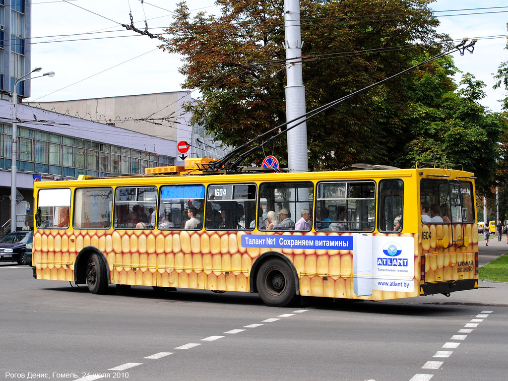 Homiel, BKM 201 # 1604