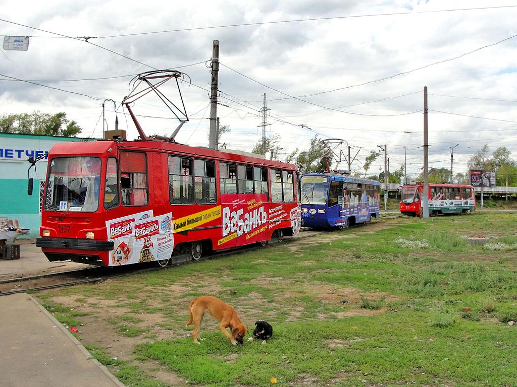 Kazanė, 71-134K (LM-99K) nr. 1307; Kazanė — Terminal points and loops; Transport and animals