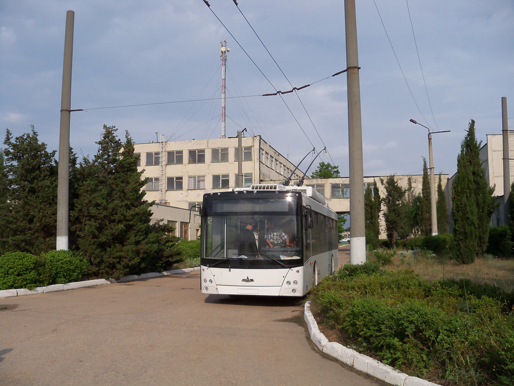 Sevastopol, MAZ-ETON T203 № 211