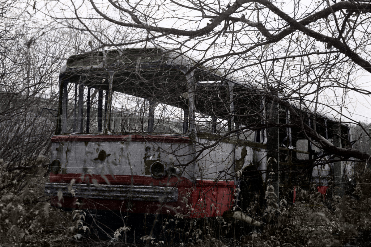 Владимир, ЗиУ-5Д № 241