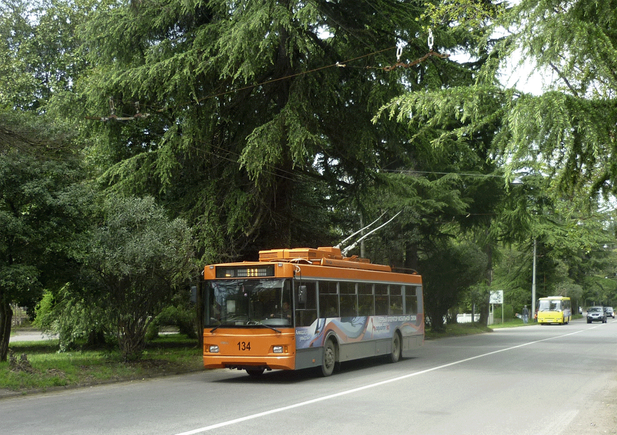 Сухумі, Тролза-5275.07 «Оптима» № 134