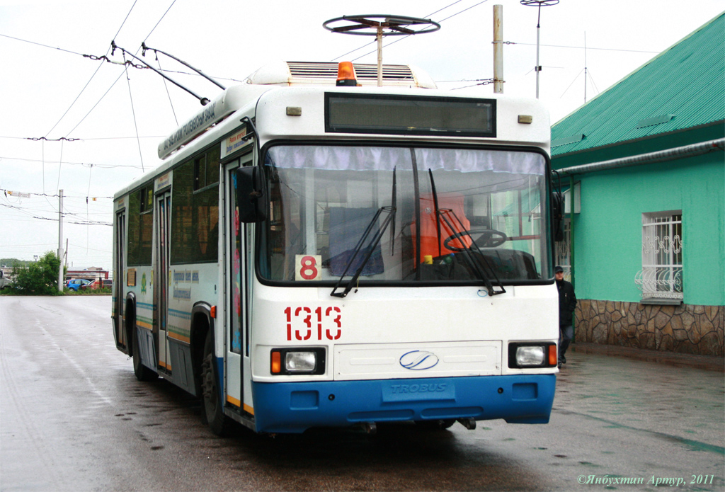 Стерлитамак, БТЗ-52761Р № 1313