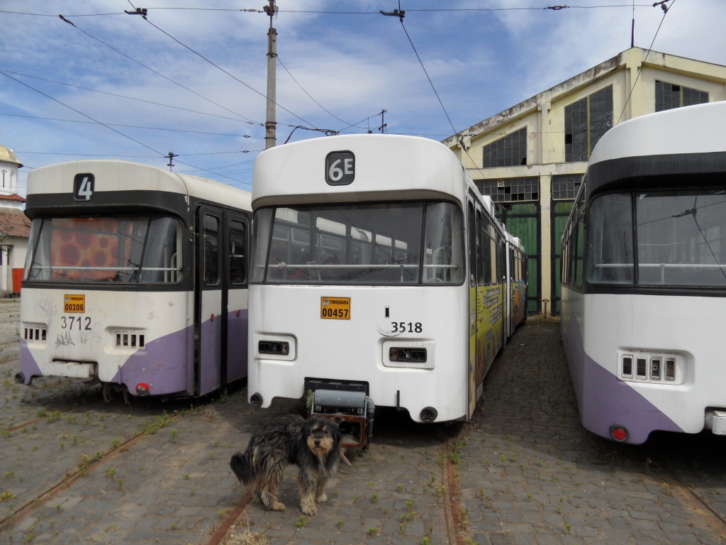 Тимишоара, Wegmann GB4e № 3712; Тимишоара, Wegmann GT4e № 3518 Тимишоара, Wegmann GB4e № 3712; Тимишоара, Wegmann GT4e № 3518