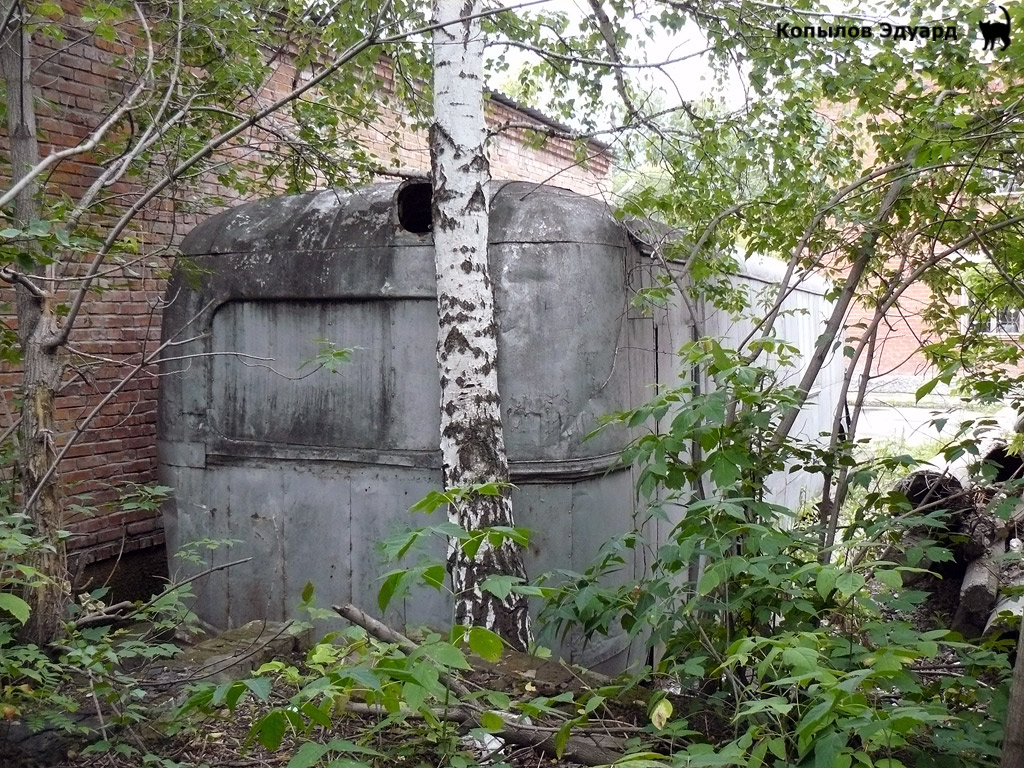 Новосибирск — "Гаражный" подвижной состав Новосибирск — "Гаражный" подвижной состав