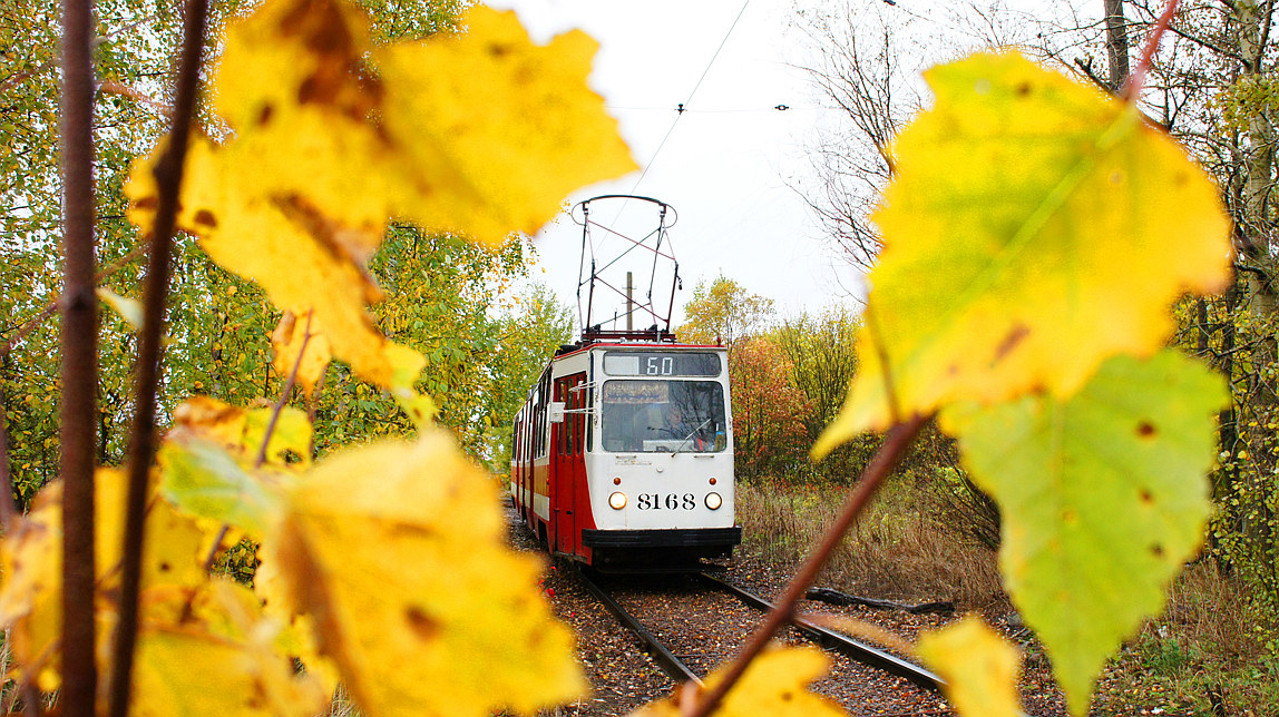 Pietari, LVS-86K # 8168