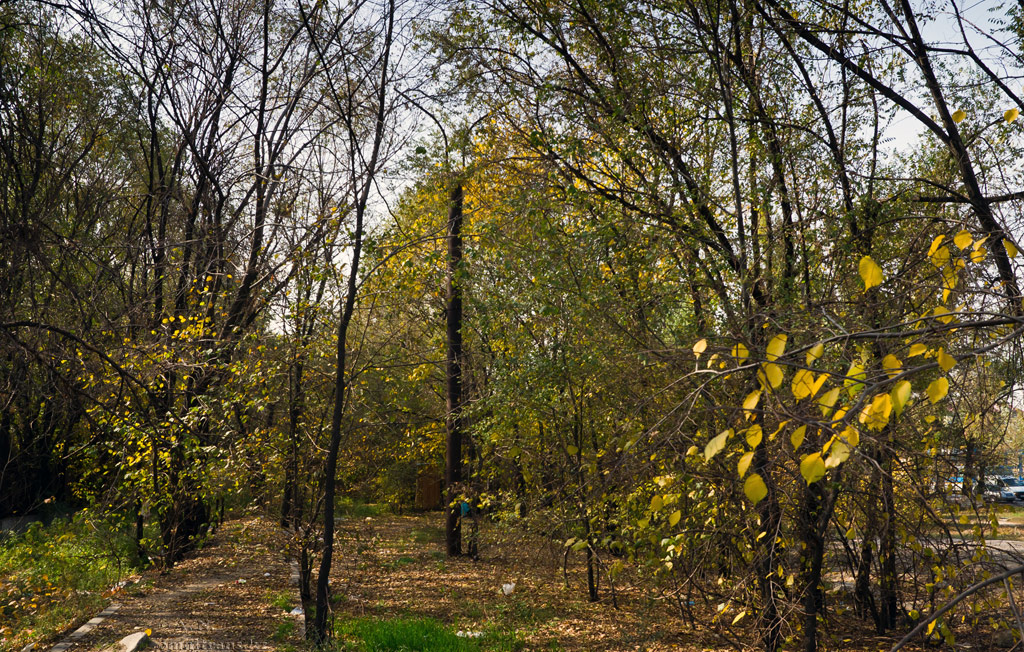 Almata — Liquidated tram lines